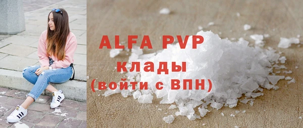 амф Бородино