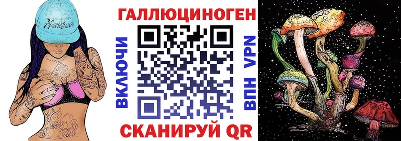 Псилоцибиновые грибы Cubensis  Эртиль 