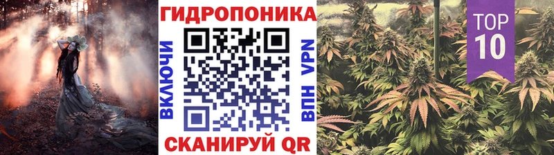 Конопля MAZAR Эртиль